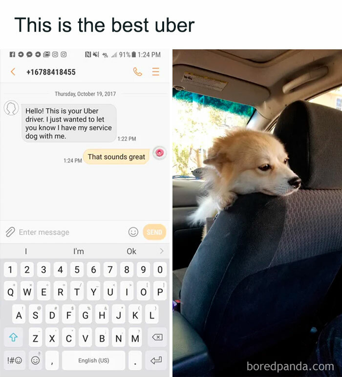 A dog meme featuring two images. The left image is a screenshot of a text conversation with an Uber driver who says, "Hello! This is your Uber driver. I just wanted to let you know I have my service dog with me." The response reads, "That sounds great." The right image shows a fluffy dog resting its head on the front seat of a car. The text above the images reads, "This is the best uber." The meme humorously highlights the pleasant surprise of having a service dog present during the ride.