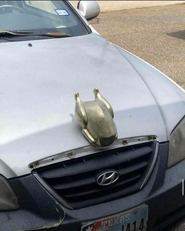 Weird-Pics-Outrebizarre