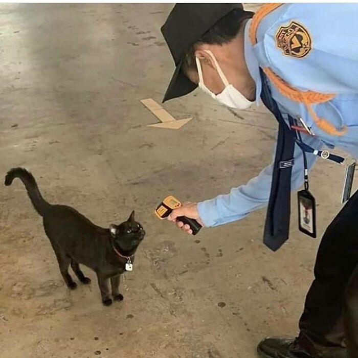 Weird-Pics-Outrebizarre