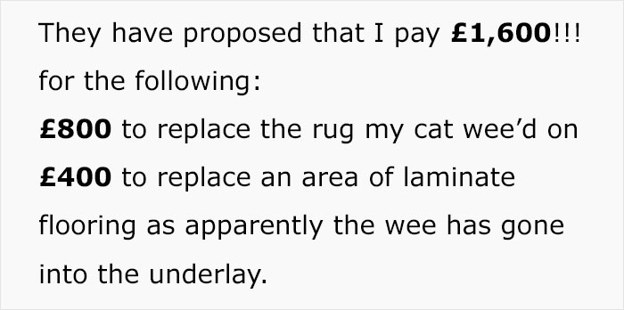 Cat Breaks Into Neighbor&rsquo;s New Home, They Are Furious And Ask For $2,000