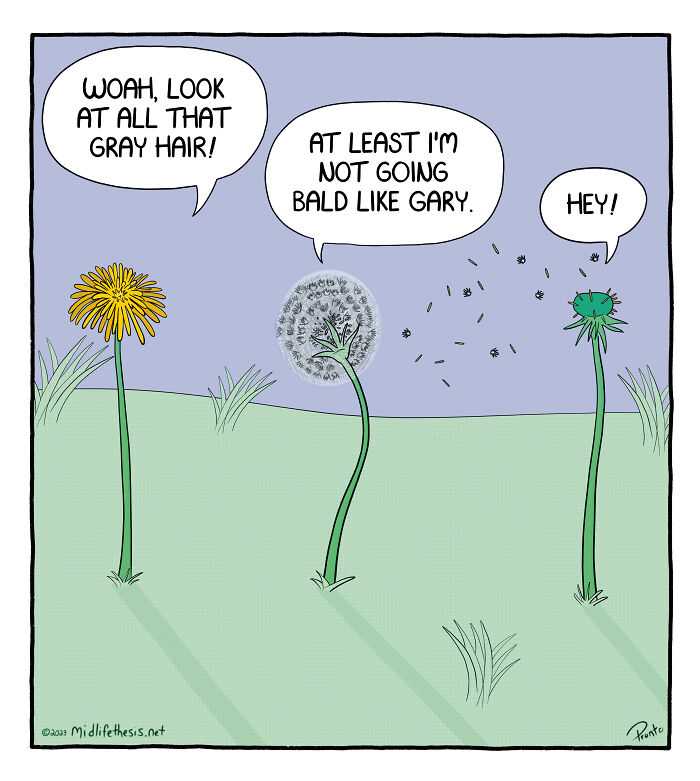 25 Single Panel Cartoons From The "Midlife Thesis" Comic Strip Series