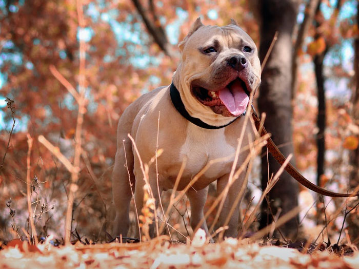 “My Son’s Life And Safety Is More Important To Me”: Mom Refuses To Let MIL Babysit Her Baby “My Son’s Life And Safety Is More Important To Me”: Mom Refuses To Let MIL Babysit Her Baby