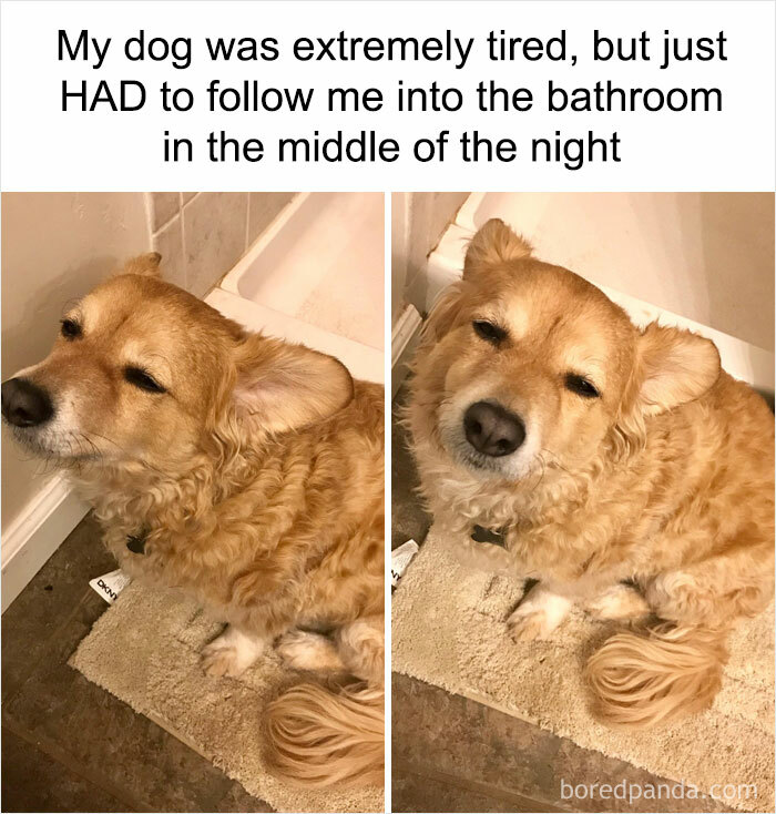 Funny-Sarcastic-Memes-Pics