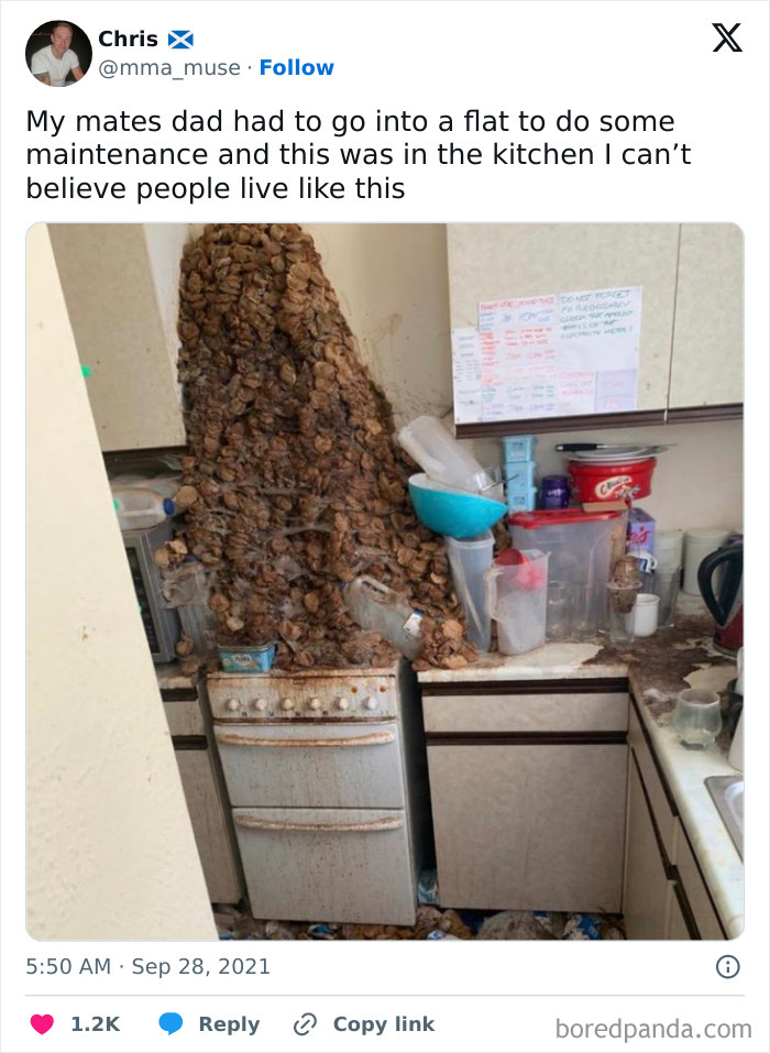 Funny-Hilarious-British-Memes