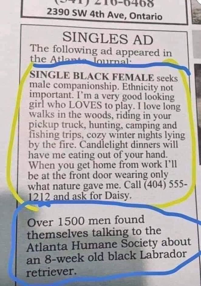 A dog meme featuring a newspaper singles ad that reads, "SINGLE BLACK FEMALE seeks male companionship. Ethnicity not important. I'm a very good looking girl who LOVES to play. I love long walks in the woods, riding in your pickup truck, hunting, camping and fishing trips, cozy winter nights lying by the fire. Candlelight dinners will have me eating out of your hand. When you get home from work I'll be at the front door wearing only what nature gave me. Call (404) 555-1212 and ask for Daisy." Below this, another note reads, "Over 1500 men found themselves talking to the Atlanta Humane Society about an 8-week old black Labrador retriever." The text highlights the humorous misunderstanding from the ad.