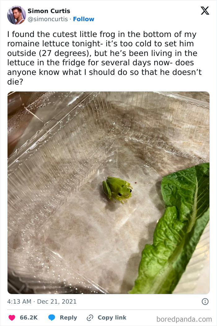 He’s So Adorable, Is This My Starter Pokémon?