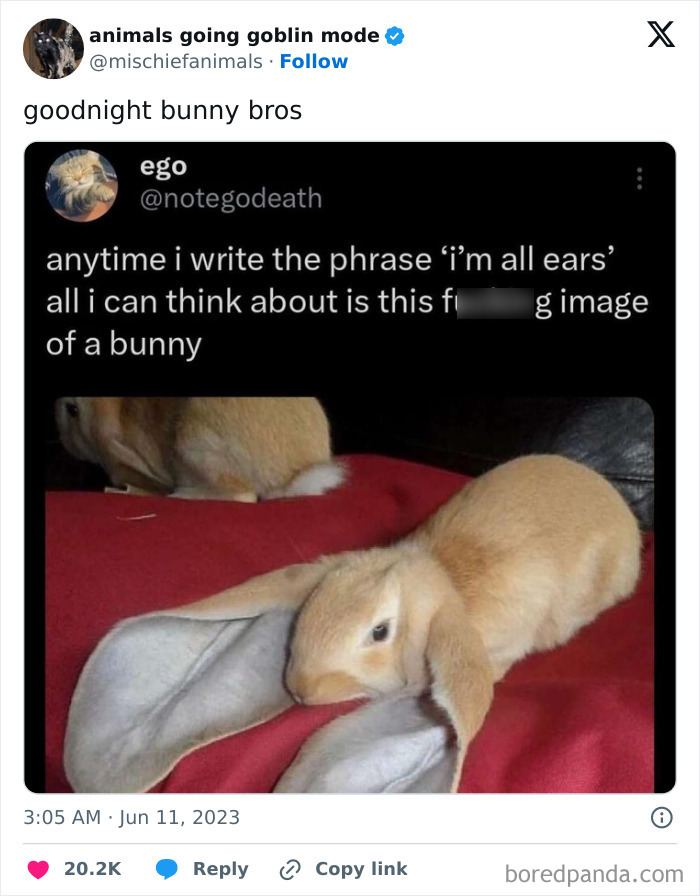 Animals-Going-Goblin-Mode-Pics