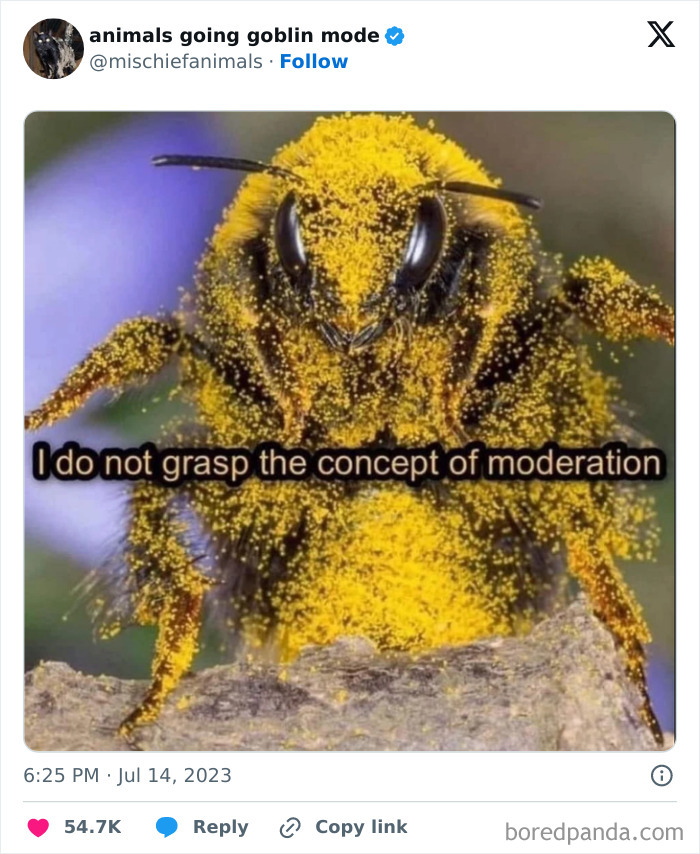 Animals-Going-Goblin-Mode-Pics