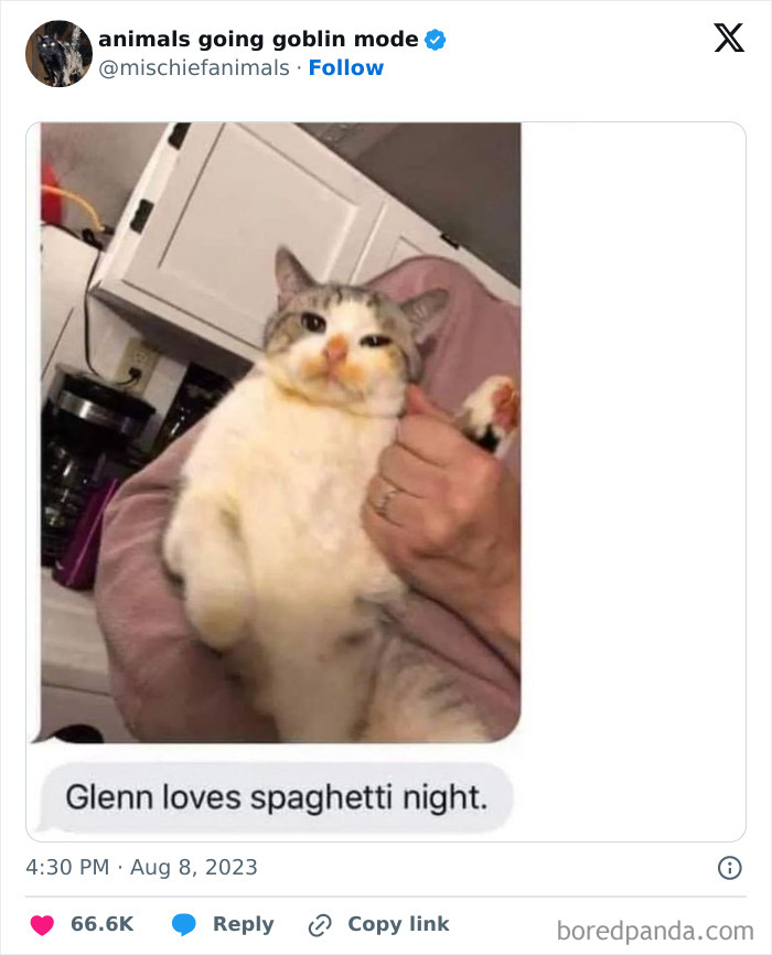 Animals-Going-Goblin-Mode-Pics