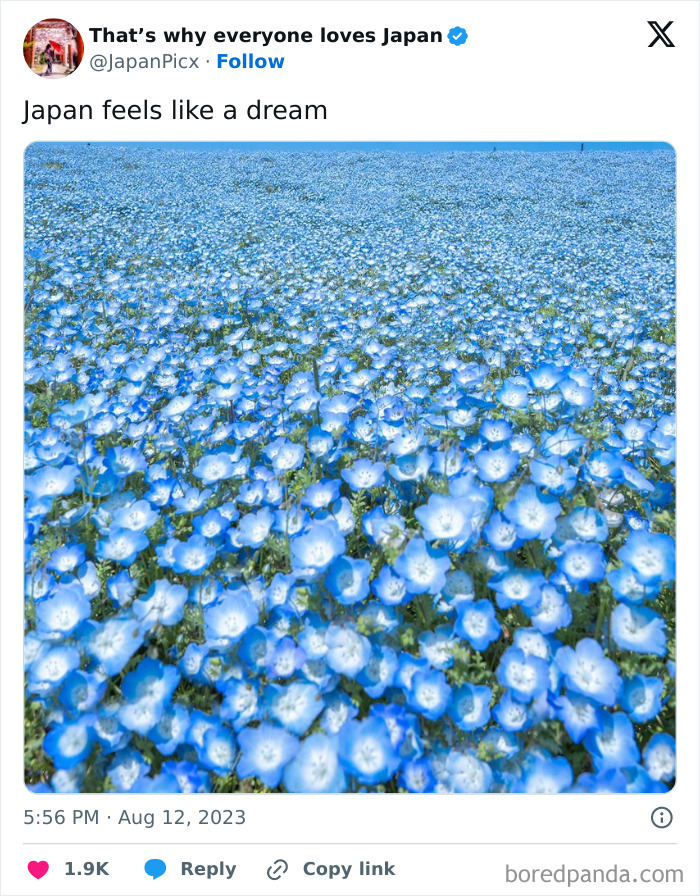 Everyone-Loves-Japan-Pictures