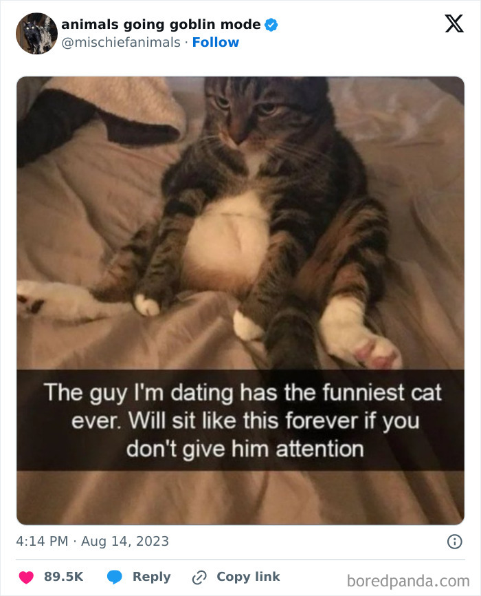 Animals-Going-Goblin-Mode-Pics