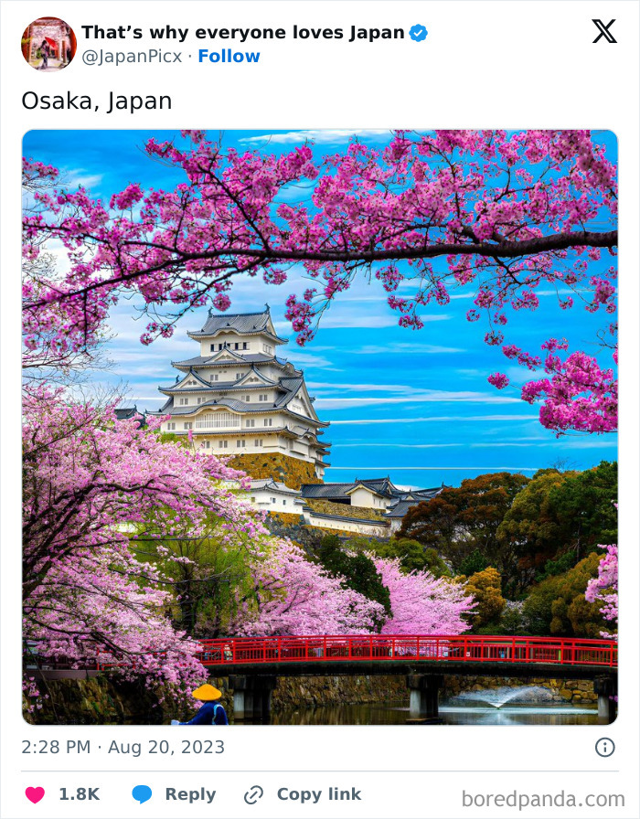 Everyone-Loves-Japan-Pictures