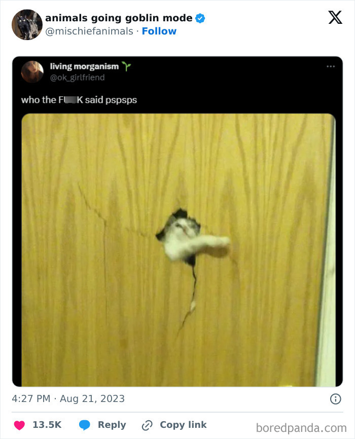 Animals-Going-Goblin-Mode-Pics