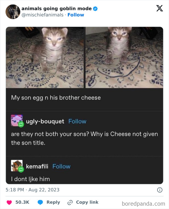 Animals-Going-Goblin-Mode-Pics