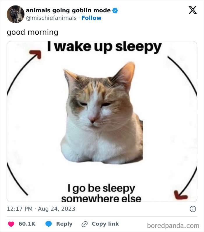 Animals-Going-Goblin-Mode-Pics