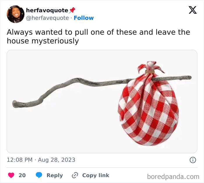 Weird meme of a stick with a red checkered cloth bundle tied to it, evoking a nostalgic sense of mystery.