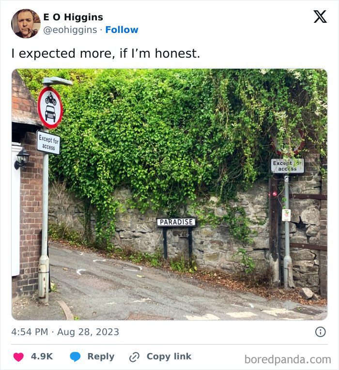 Funny-Hilarious-British-Memes