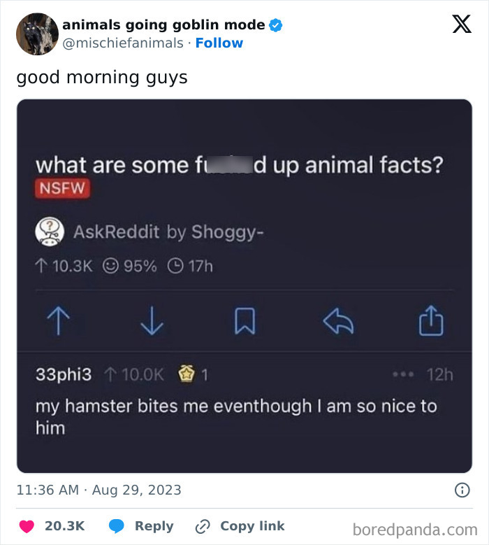 Animals-Going-Goblin-Mode-Pics