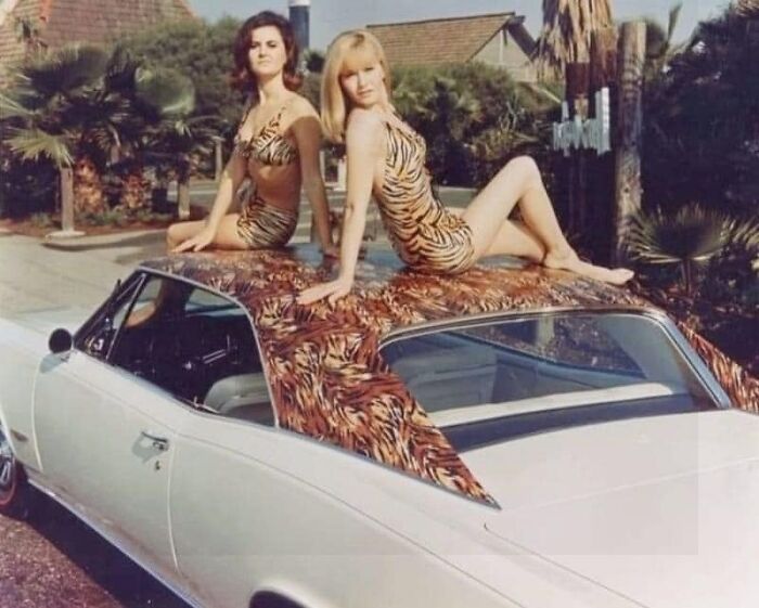 They Always Said To Put A Tiger In Your Tank. Glad They Put Them On The Roof This Time