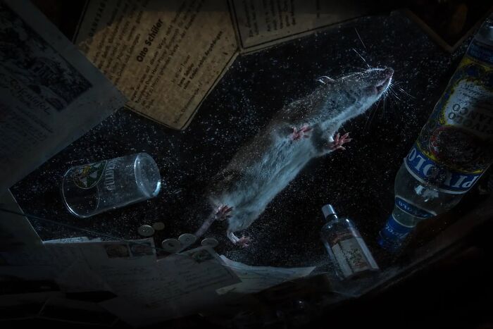 "When We’re Gone", Florian Smit