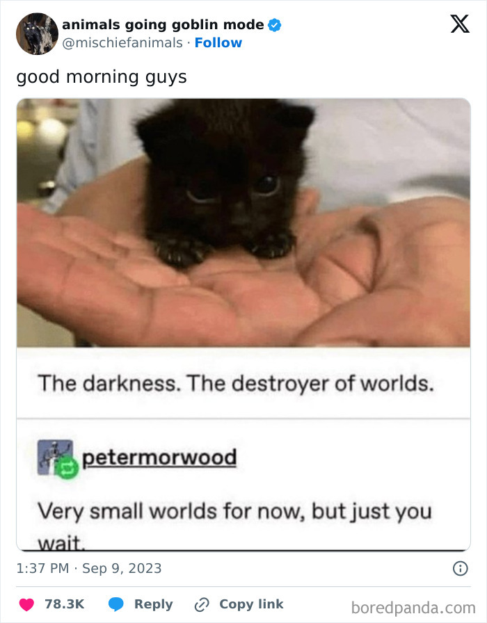 Animals-Going-Goblin-Mode-Pics