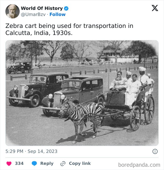 World-Of-History-Pics