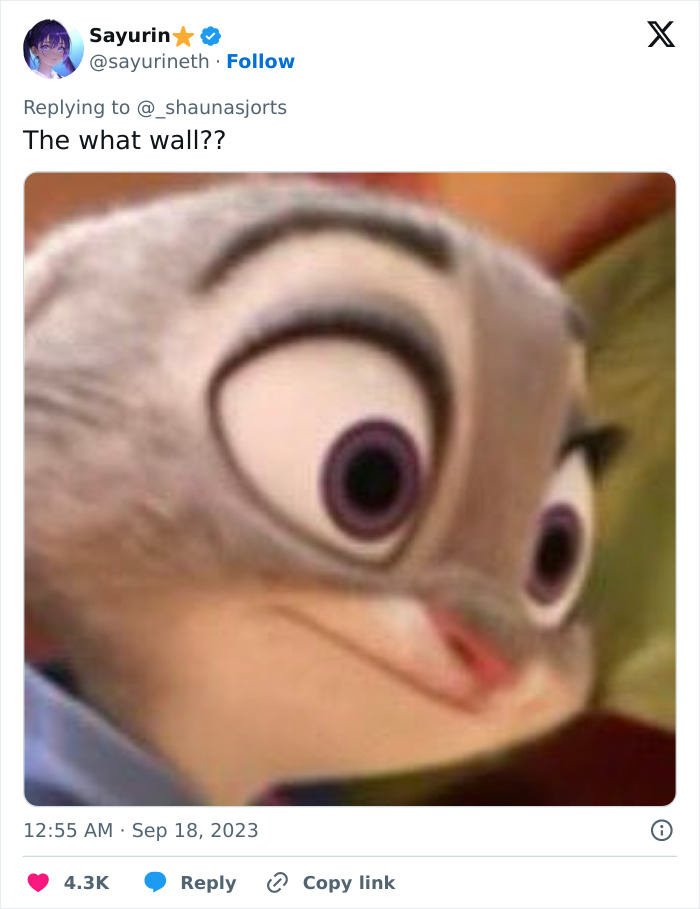 TikToker Gives A Tour Of Her Chaotic Bedroom And People Are Amazed