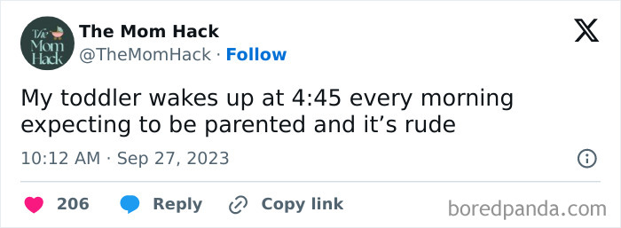 Screenshot of a funny parent tweet about toddlers and early morning parenting in a social media post on The Mom Hack.