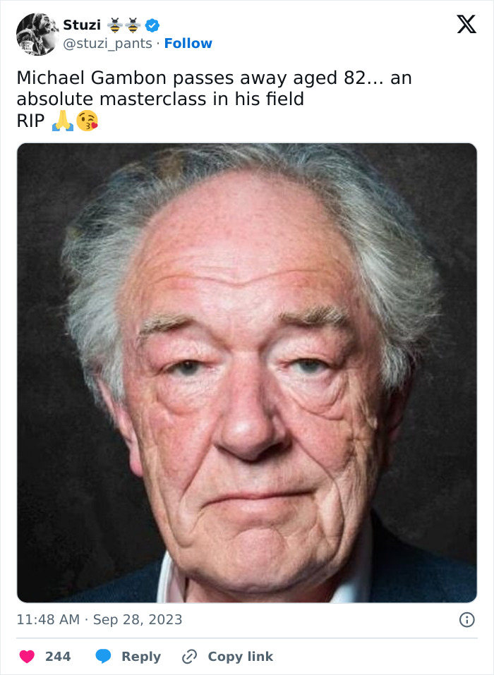 &ldquo;Death Is But The Next Great Adventure&rdquo;: Dumbledore Actor Michael Gambon Dies At 82