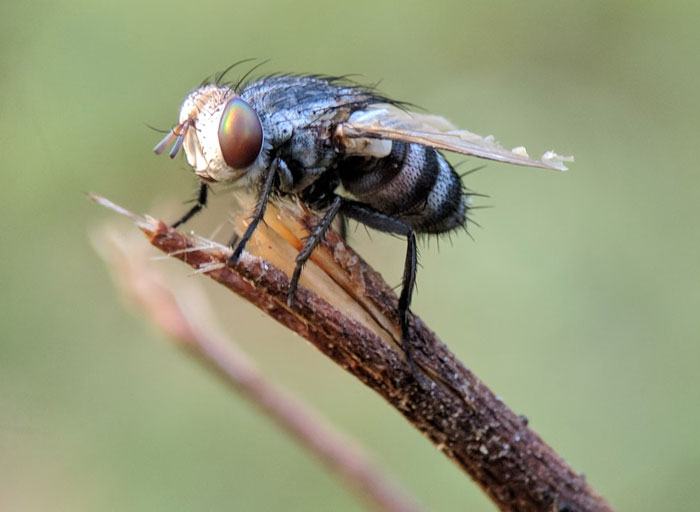 People Share 30 "Genuinely Terrifying" Facts