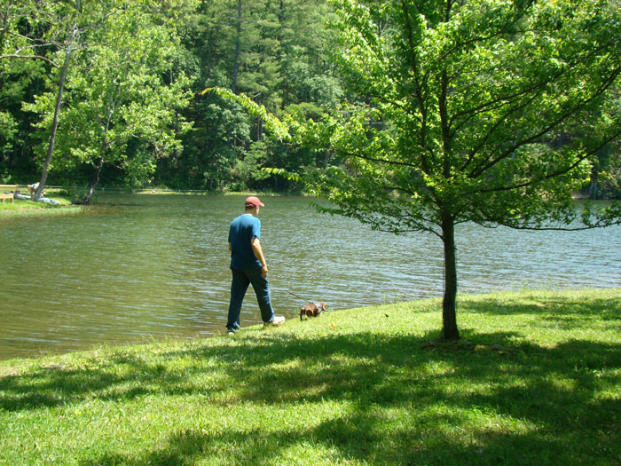 Woman Gets Revenge On Teen For Using Her Yard As A Shortcut, Pretends It Wasn’t Planned At All Woman Gets Revenge On Teen For Using Her Yard As A Shortcut, Pretends It Wasn’t Planned At All