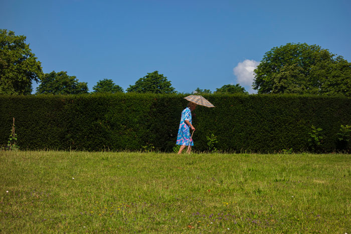 Elderly woman walking with umbrella near a tall green hedge on private property under clear blue sky.