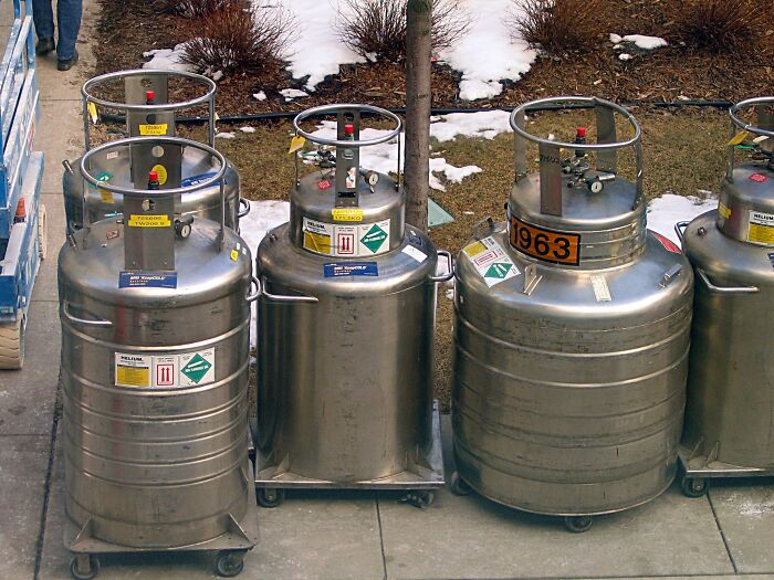 Someone Asked “What Is Far More Rare Than People Realize?”, And 30 People Delivered