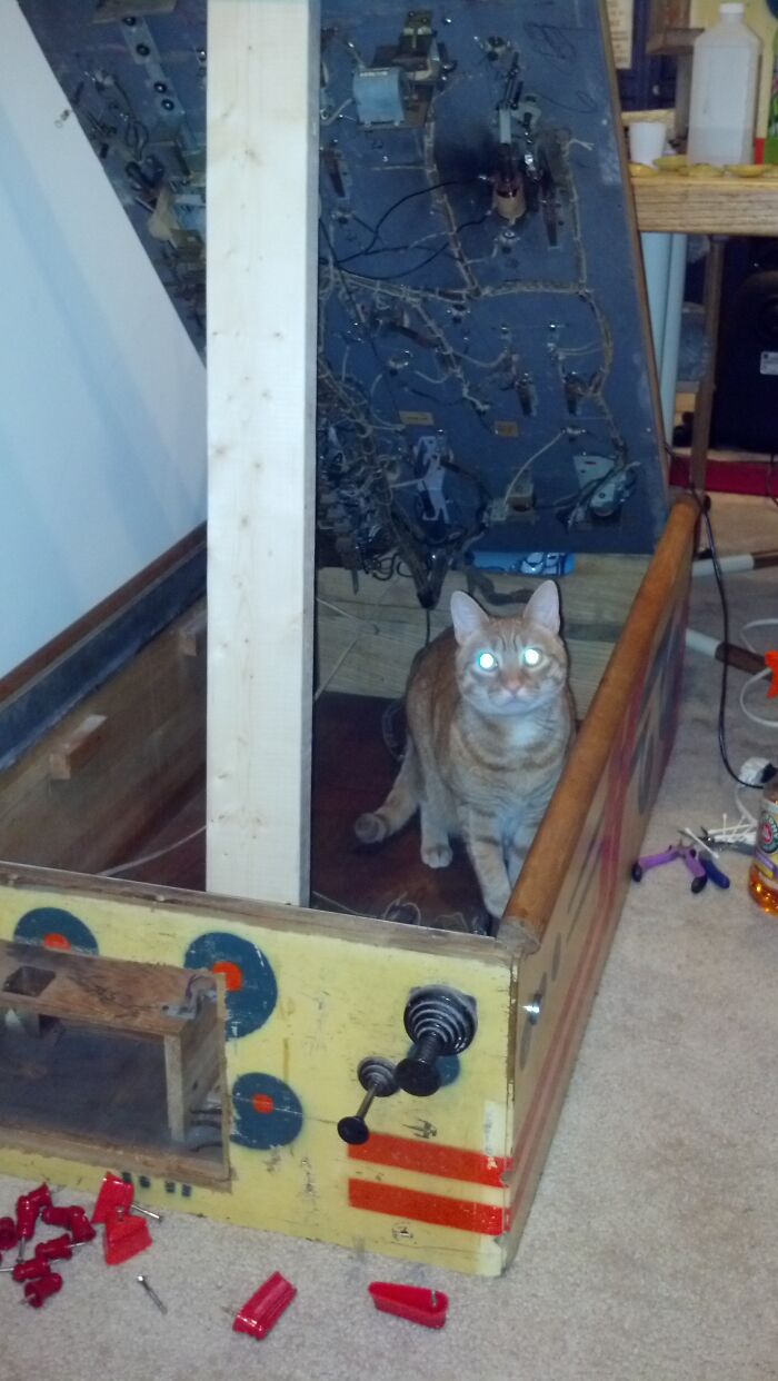 Helping Fix A Pinball Machine