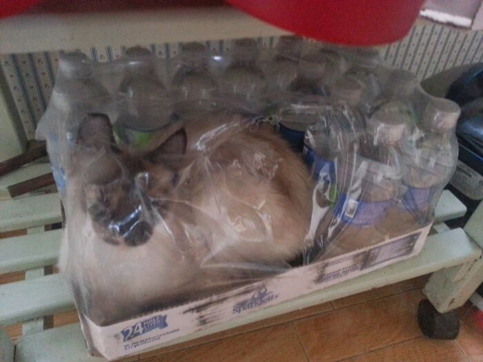 Sub-Par Water Filtration With This Brand. I Found An Opal In My Water!