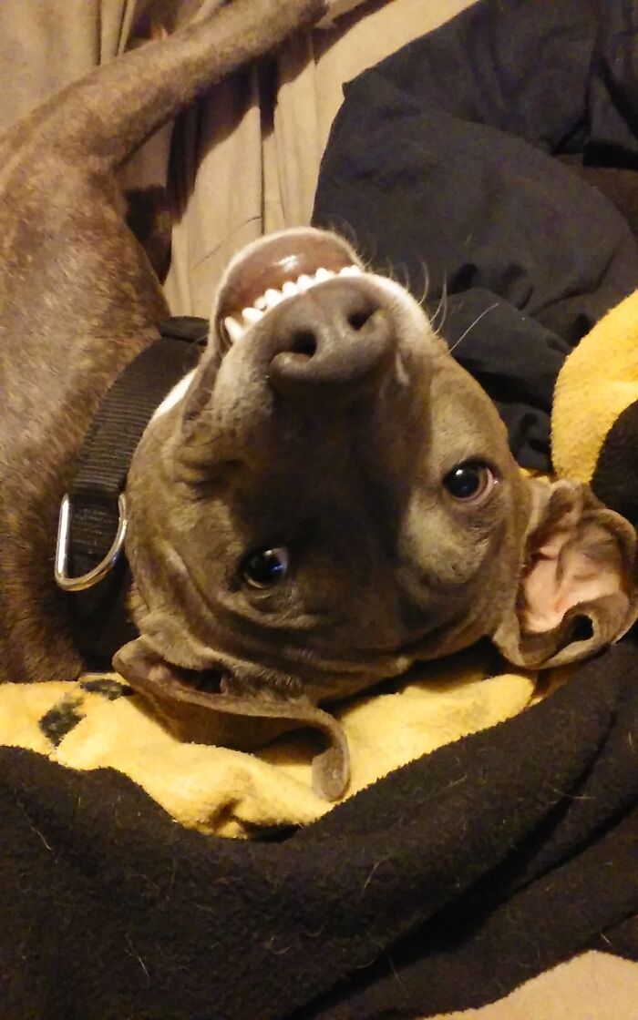 The Grinning Grae'son