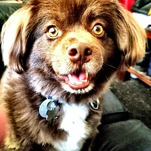 joelsmom11601 avatar