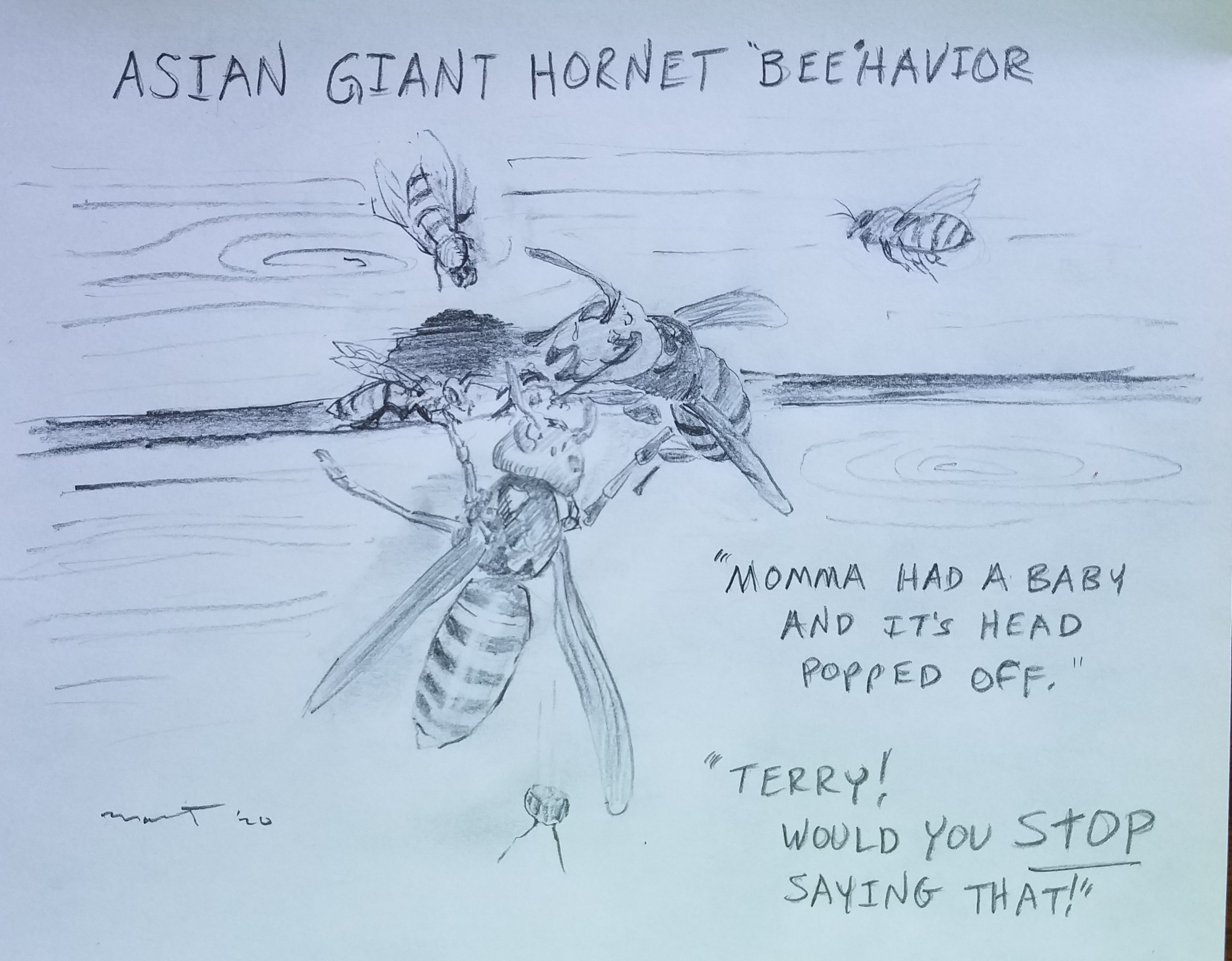 Giant Hornet