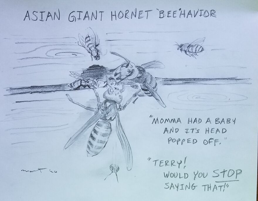 Giant Hornet