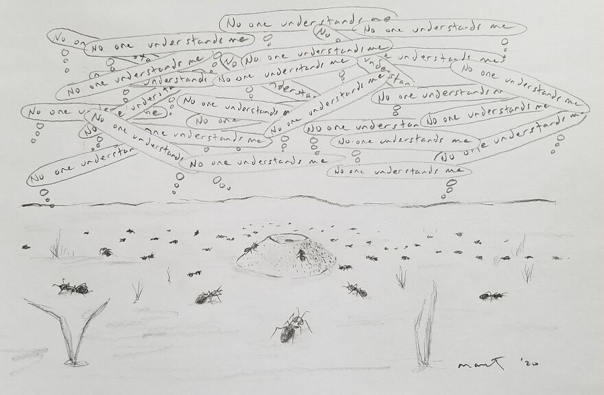 Ants