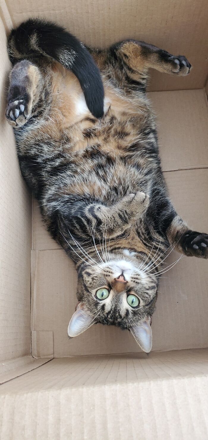 Baby Béatrice. My Little Terrorist!!!