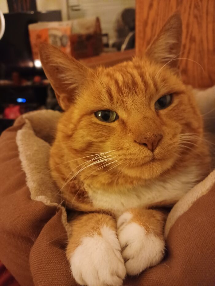 One Of The Few Times Bennybenny Is Being Cute And Not A Goofball