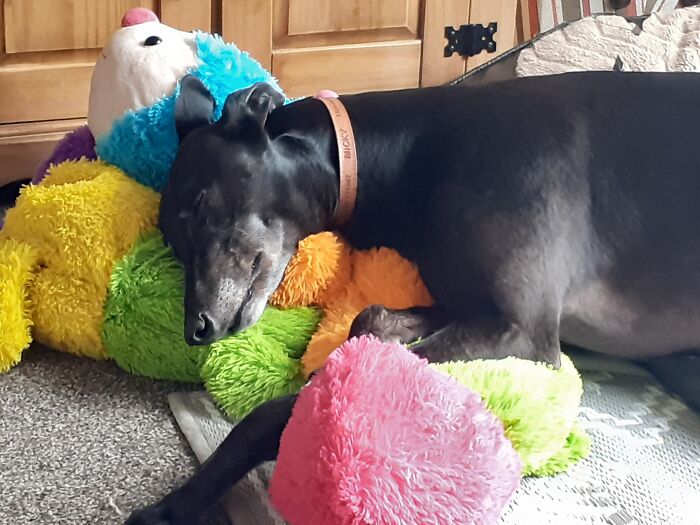 Micky With Colin The Caterpillar (Or Cater-Pillow)