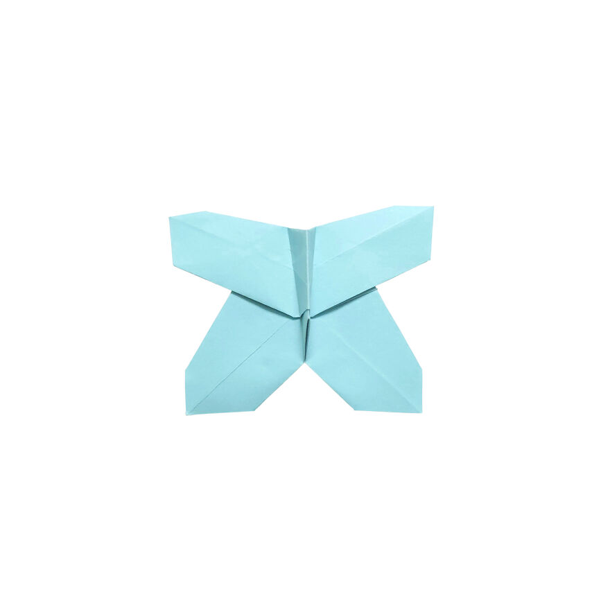 I Made Over 1000 Origami Butterflies (22 Pics)