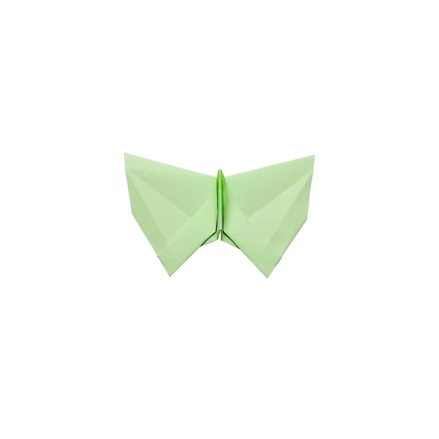 I Made Over 1000 Origami Butterflies (22 Pics)