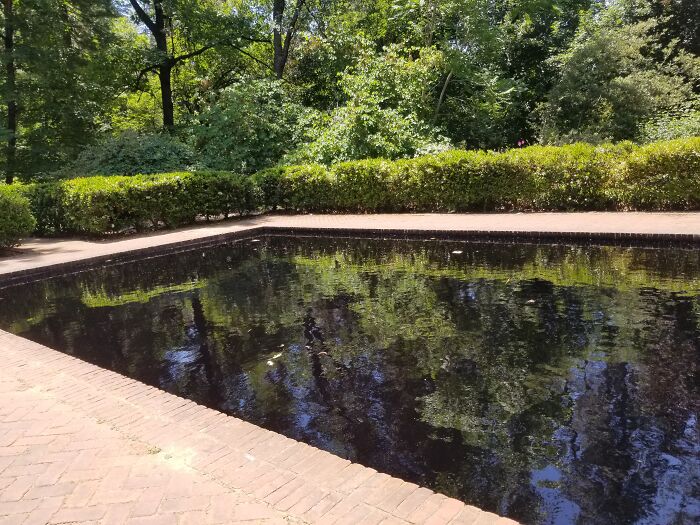 Sry For The Double Post. This Is The Private Pool Of The Family That Lived At This House