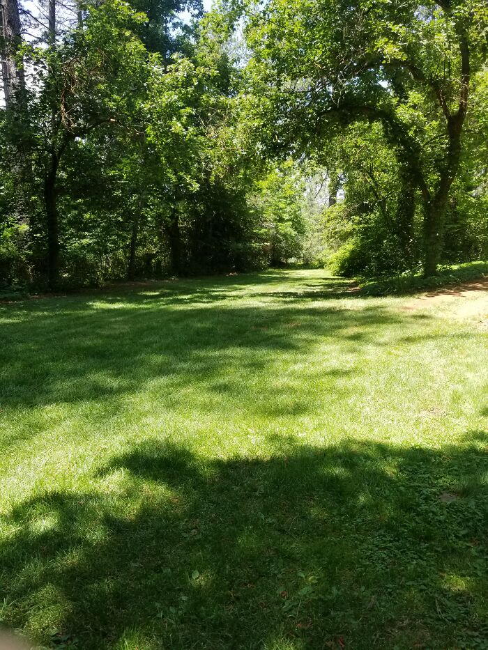 At Empire Mine A Historic Place In California