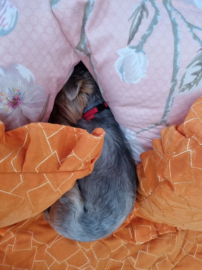 Looking For Me? Just Chiling