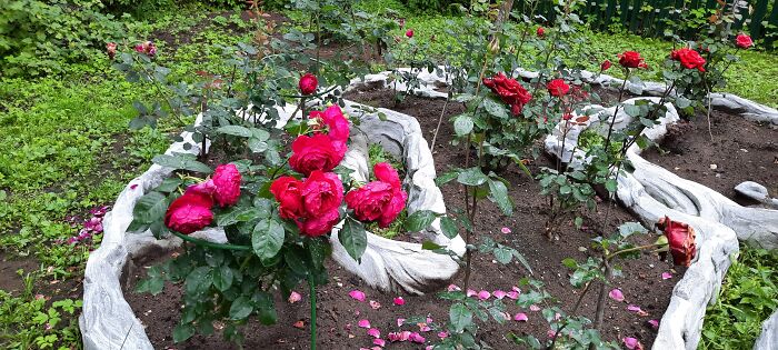 My Perfect Weekend Out Of Reach Of My Camera Now, But Watch Them Grow Is Fine Too