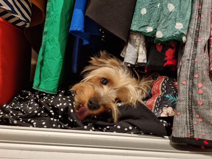 Looking For Me? Just Chiling Part 2